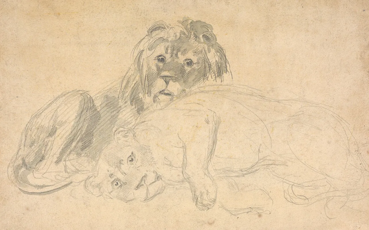 A Lion And His Mate