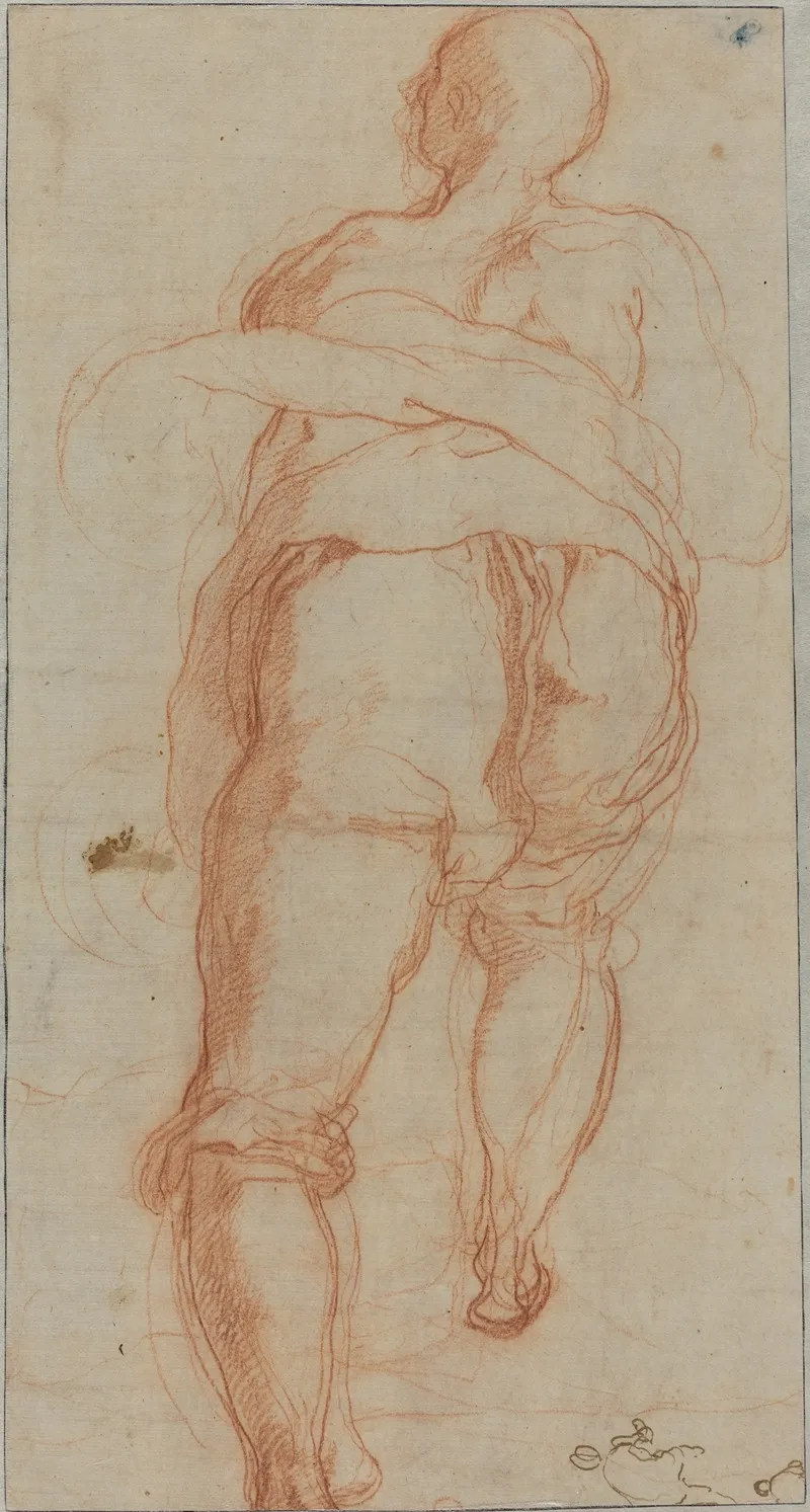 A Man Seen From Behind Verso by Taddeo Zuccaro - Canvas Print