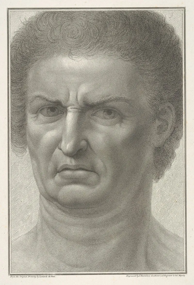 A Mans Face After Leonardo Da Vinci