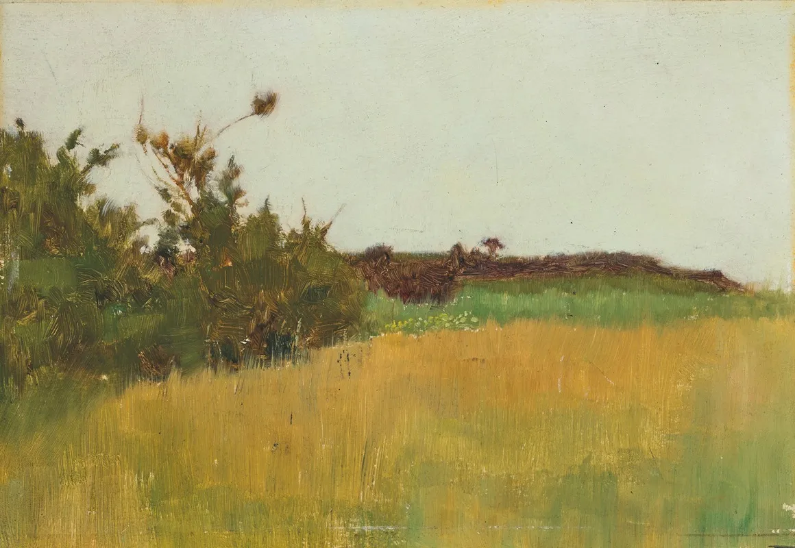 A Meadow by William Padgett - Canvas Print