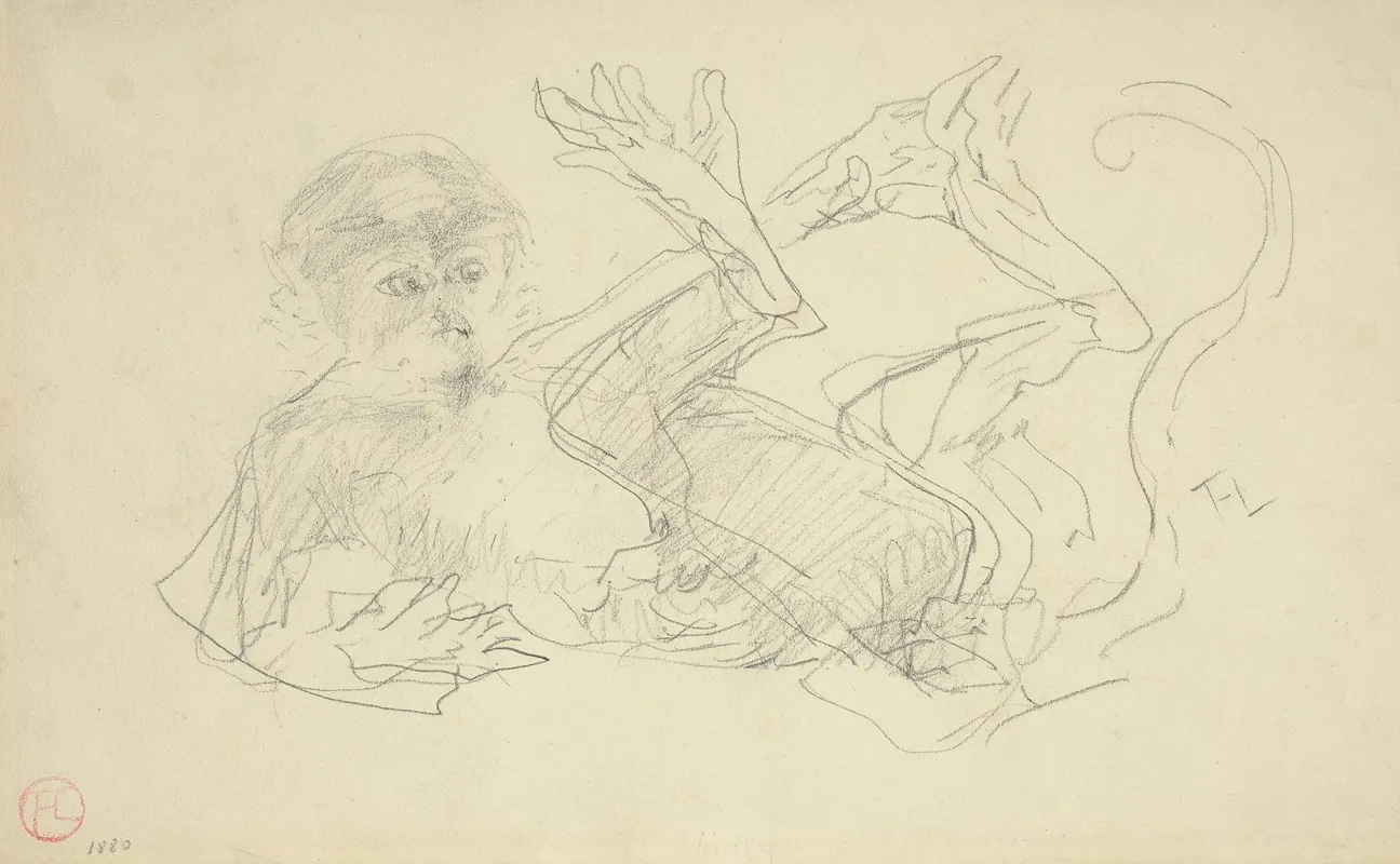 A Monkey Playing On His Back