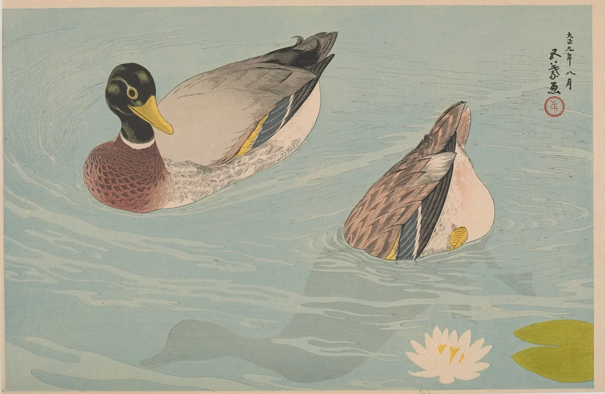 A Pair Of Ducks