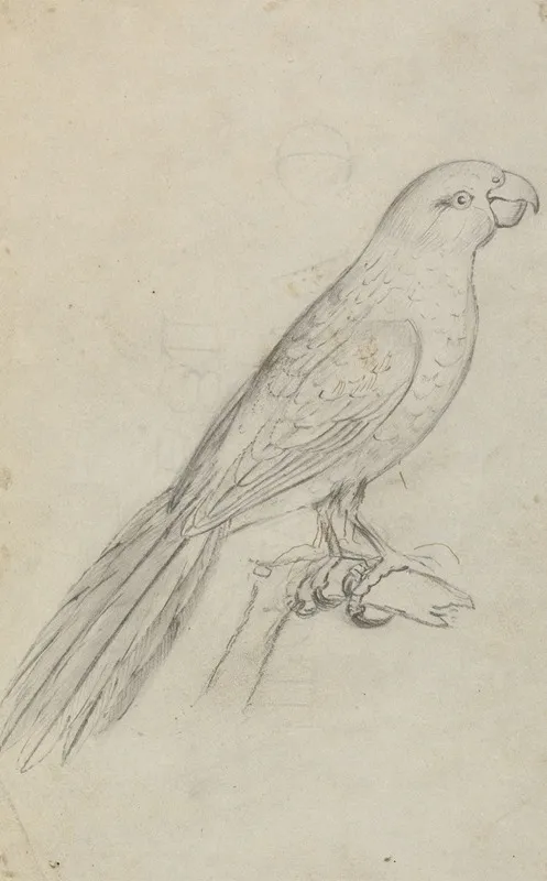 A Parrot