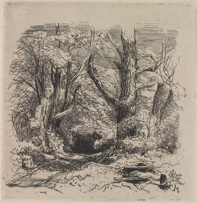 A Path Through The Wood