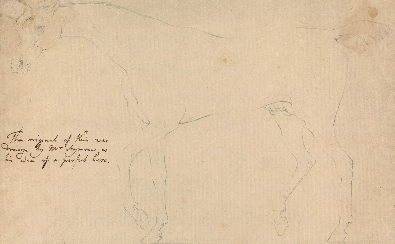 A Perfect Horse