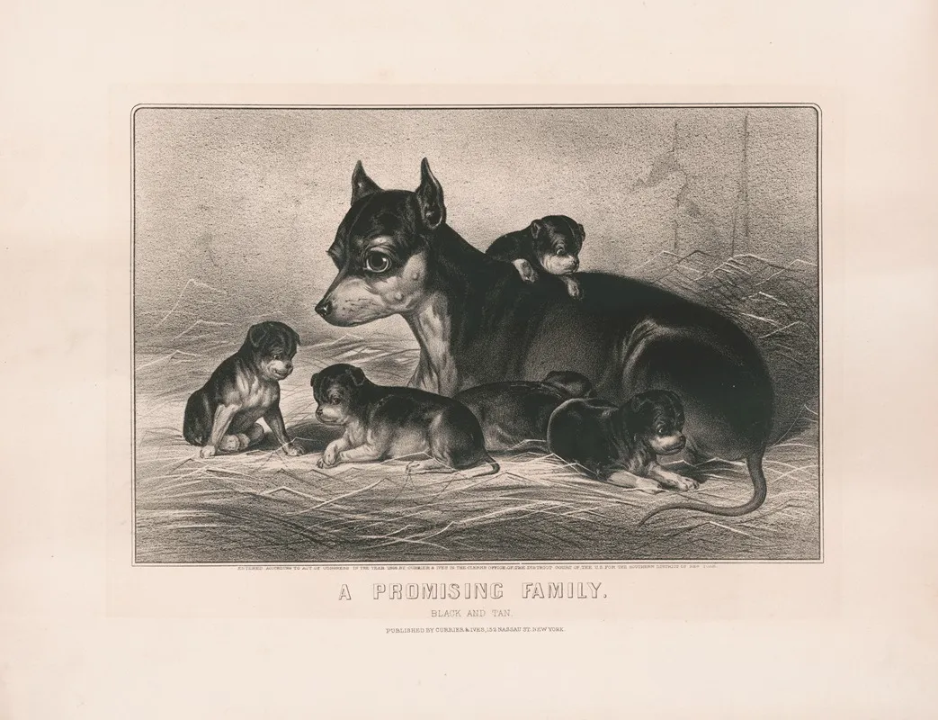 A Promising Family Black And Tan