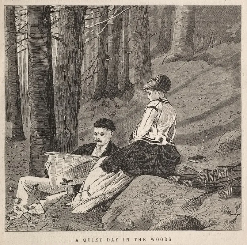 A Quiet Day In The Woods