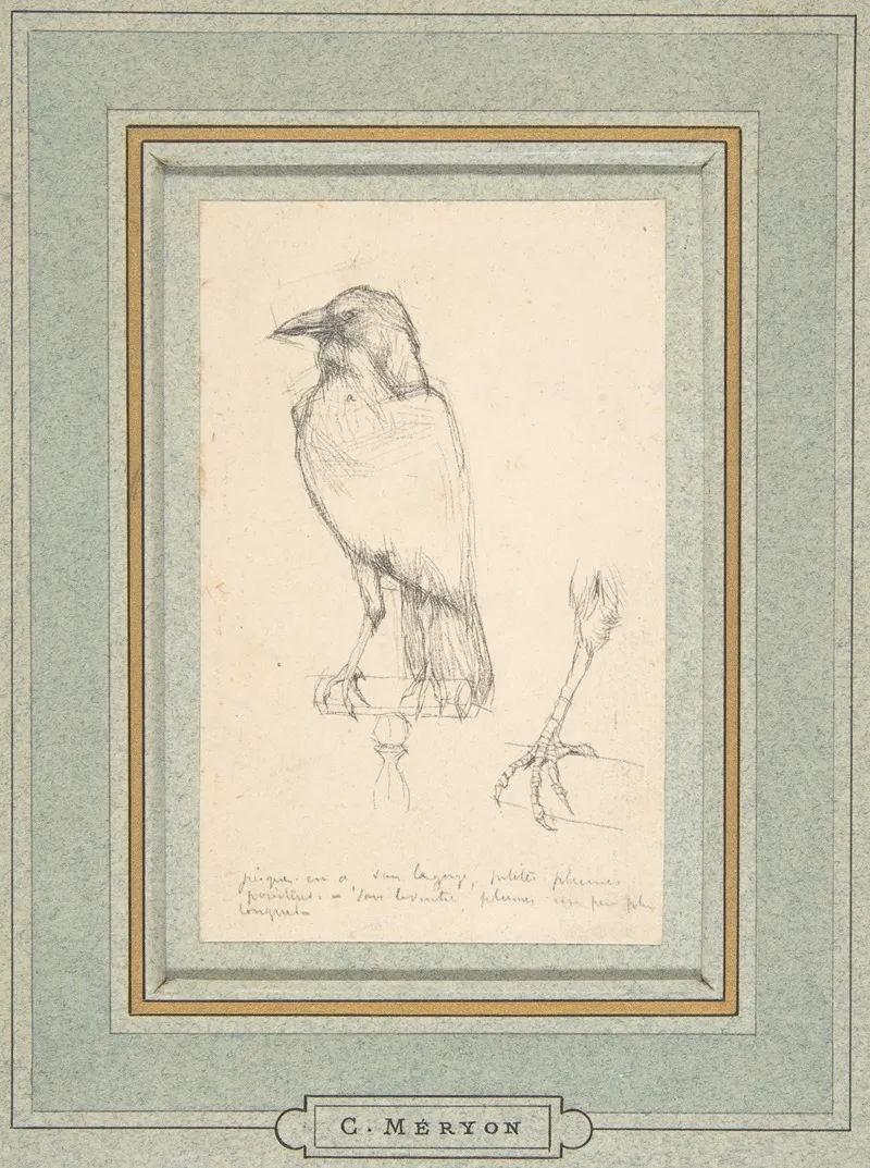 A Raven Perched On A Rail 2