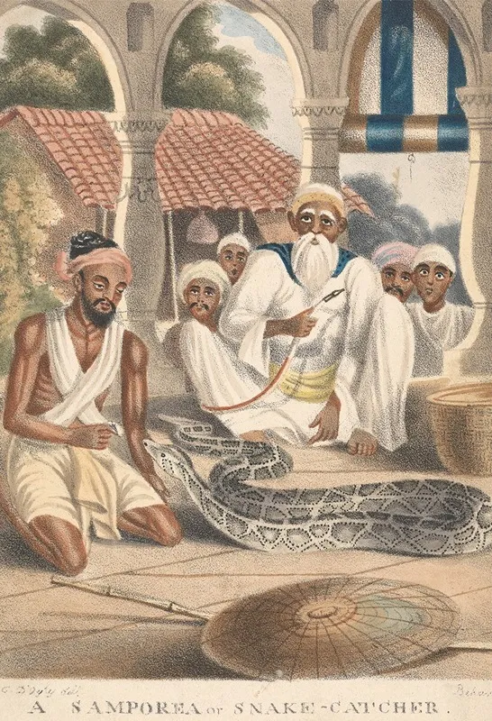 A Samporea Or Snake Catcher