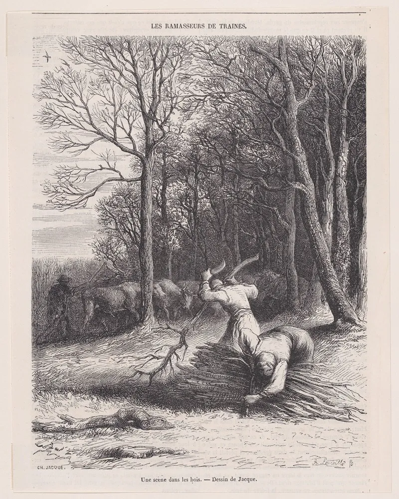 A Scene In The Woods