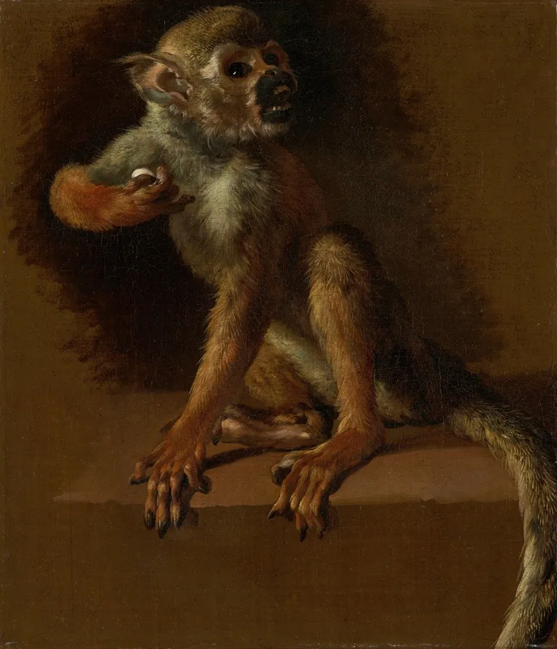 A Seated Monkey by Jan Weenix - Canvas Print