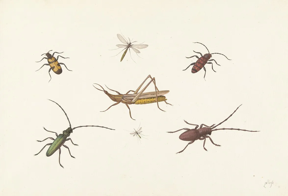 A Sheet With Seven Different Insects