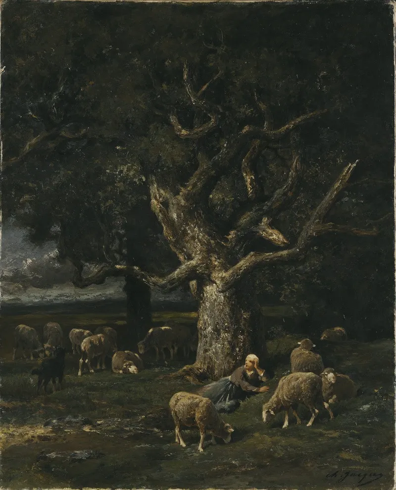 A Shepherdess And Her Sheep