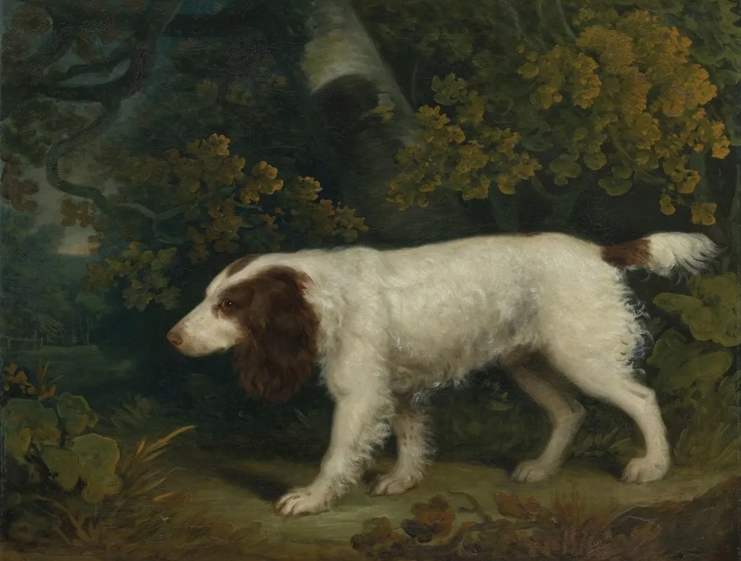 A Spaniel In A Landscape 3