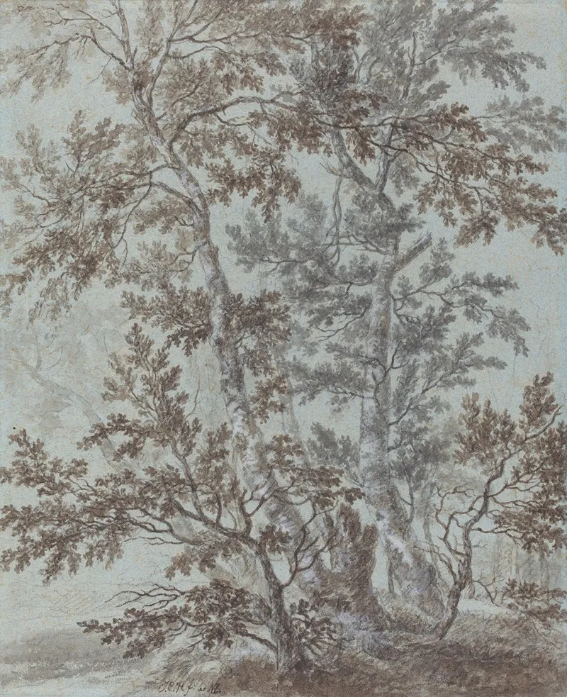 A Stand Of Birch Trees