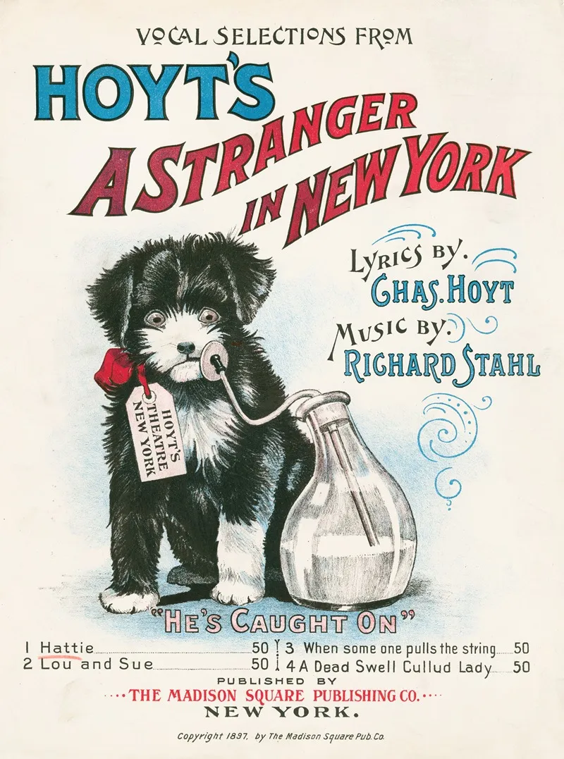 A Stranger In New York