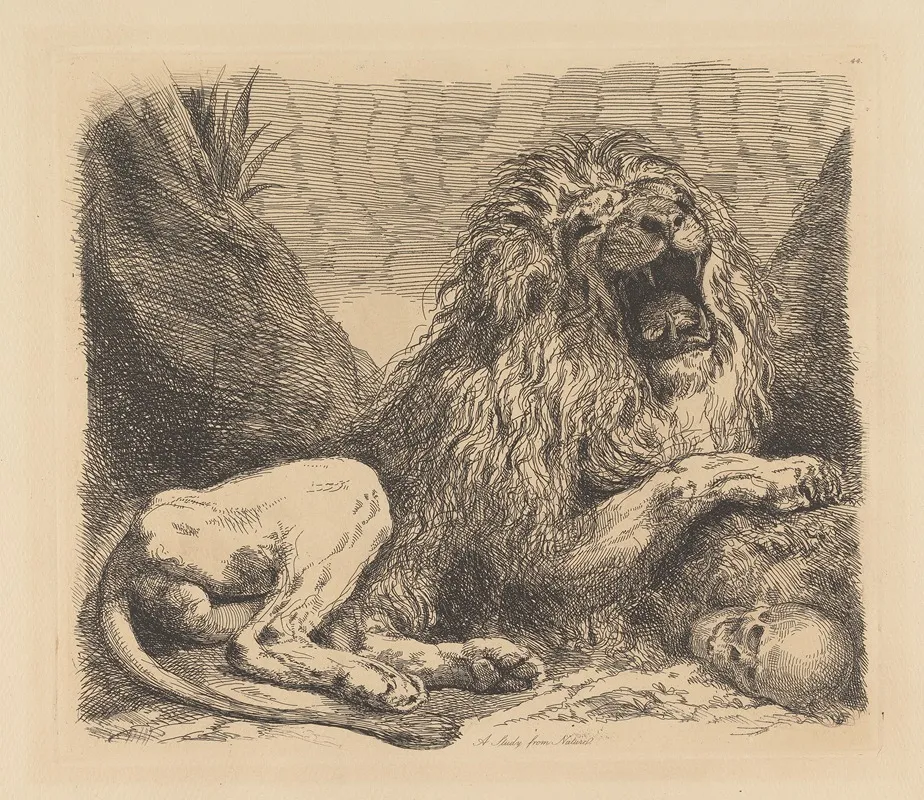 A Study From Nature A Lion Among Rocks Roaring A Human Skull Lower Right
