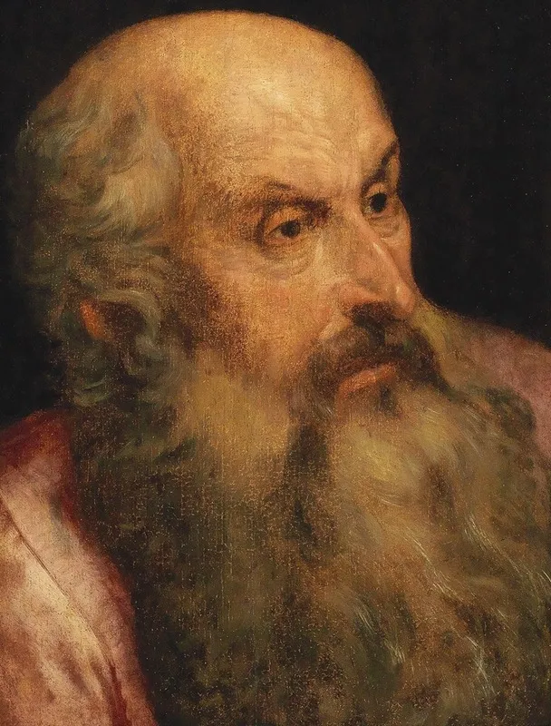 A Study Of A Bearded Man