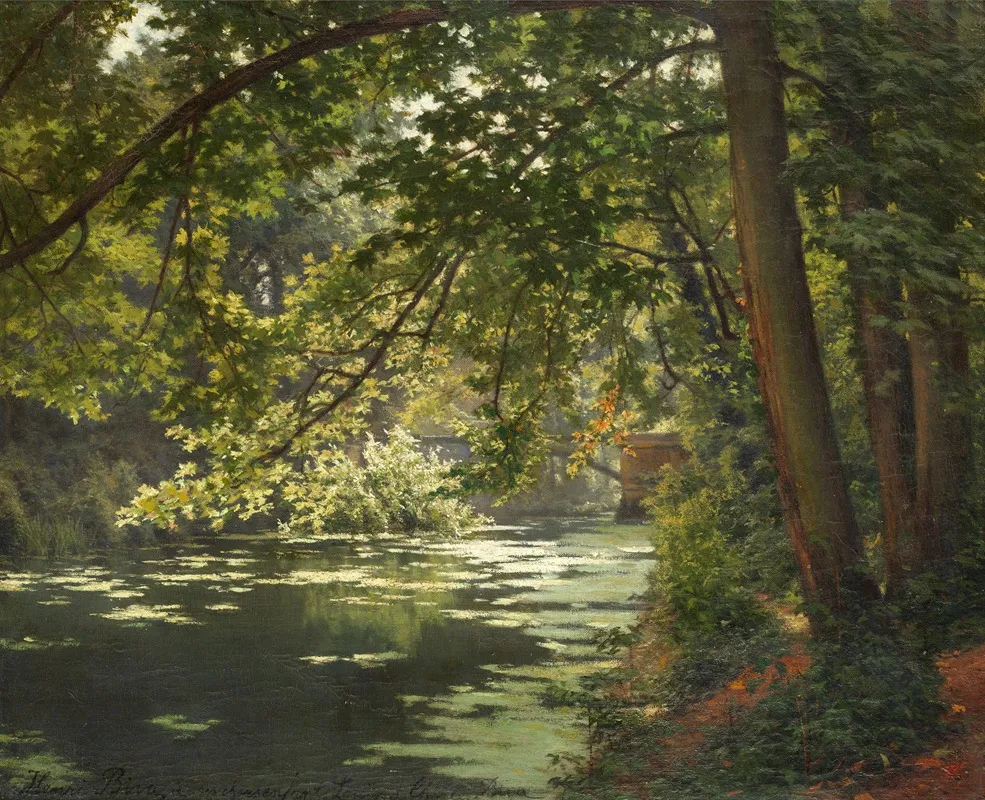 A Sunlit Woodland River