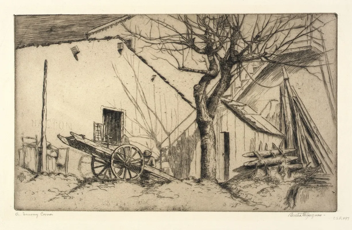 A Sunny Corner 2