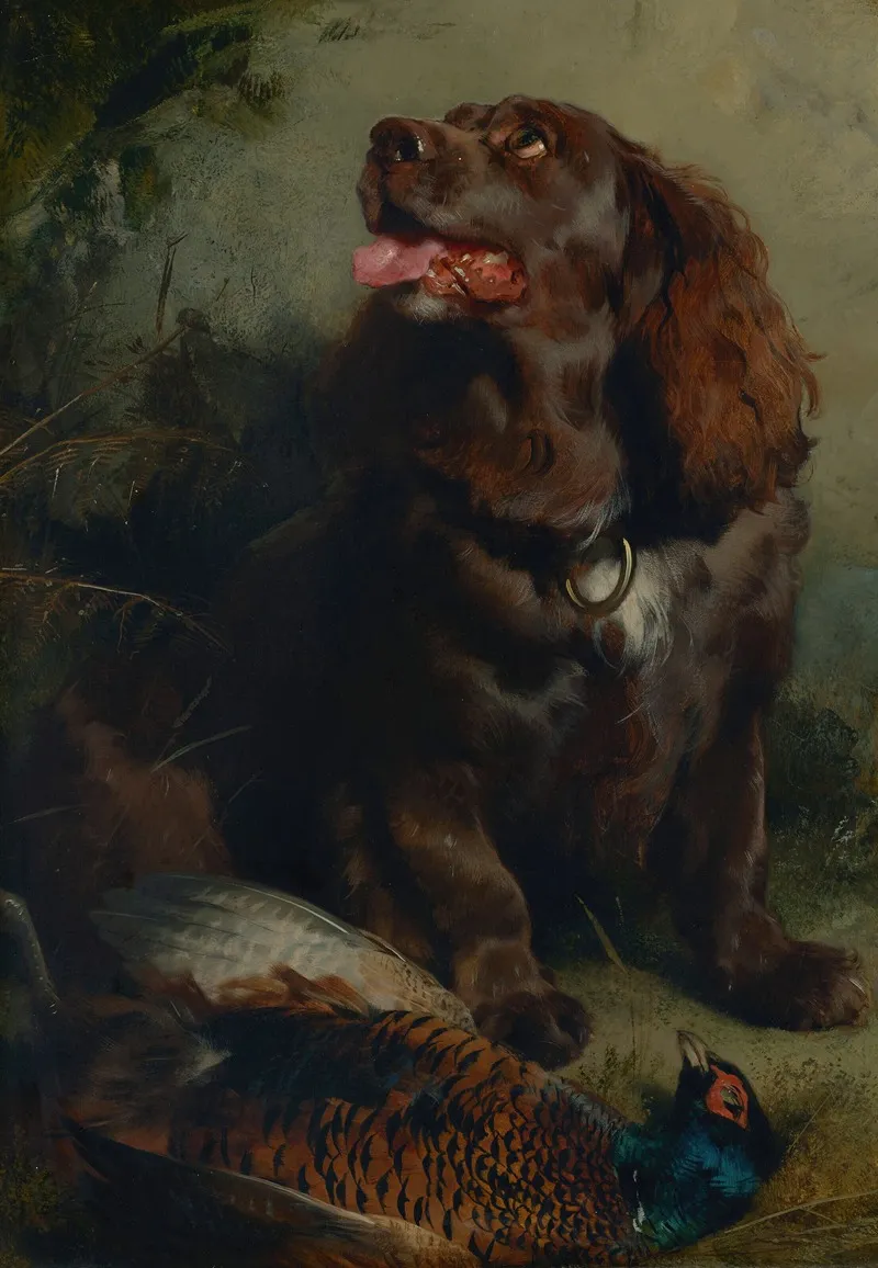 A Sussex Spaniel And A Pheasant