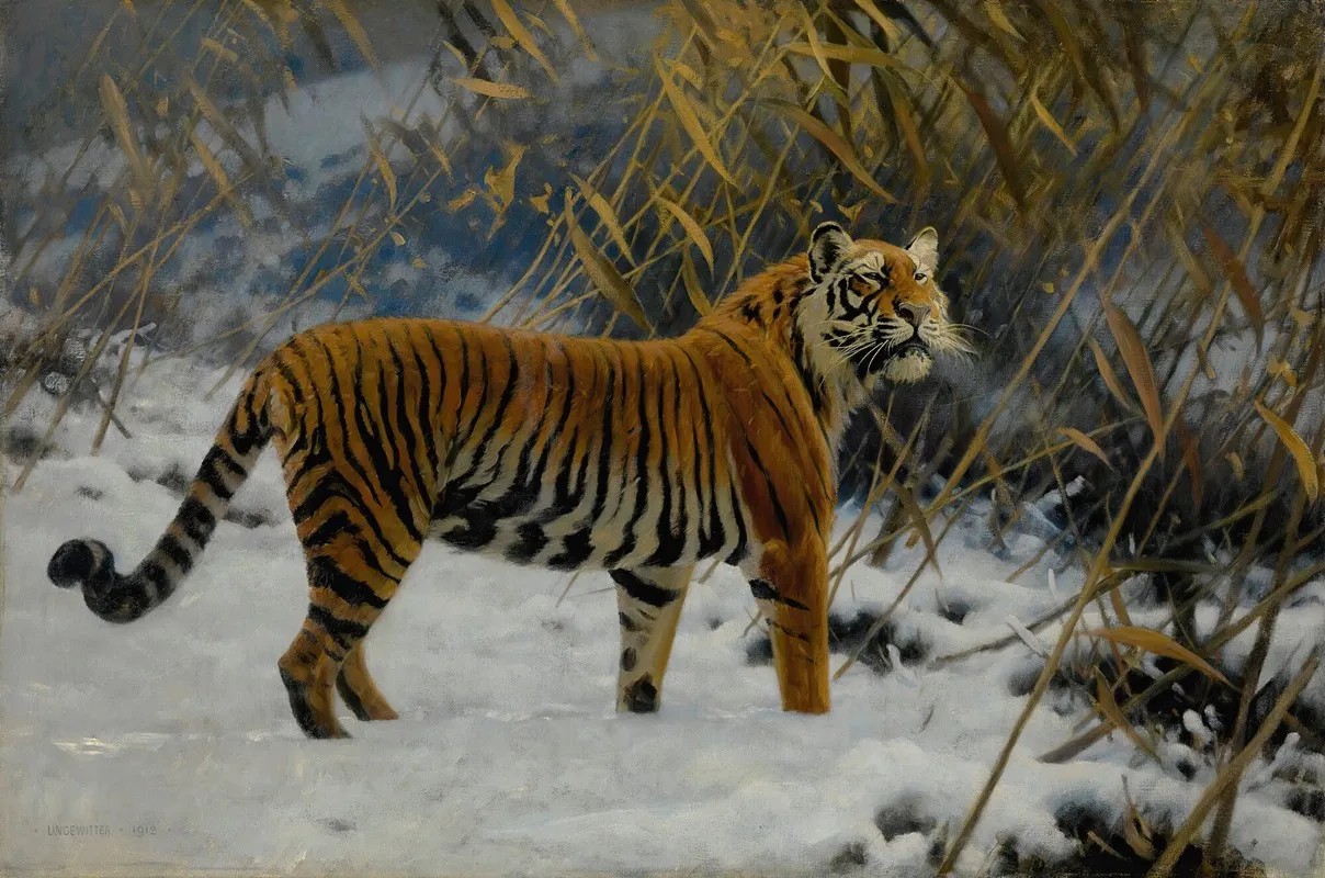 A Tiger Prowling In The Snow