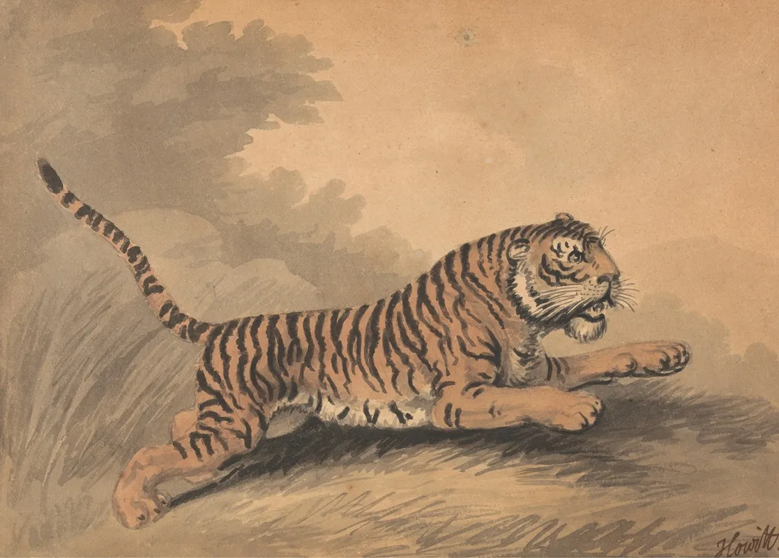 A Tigress Leaping To The Right