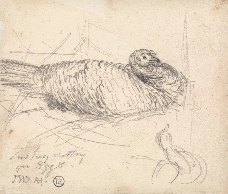 A Turkey Sitting On Eggs