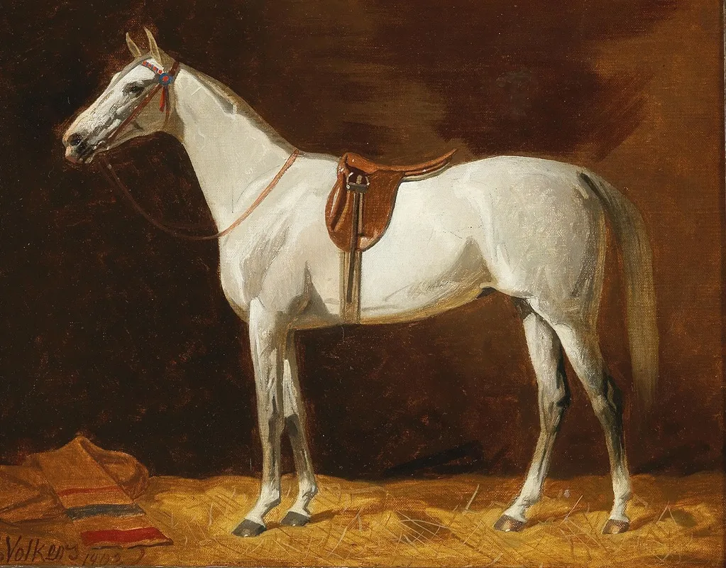 A White Horse by Emil Volkers - Canvas Print
