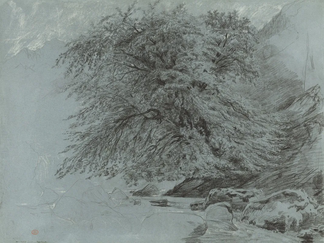 A Wild Beech In Full Leaf by Paul Huet - Canvas Print