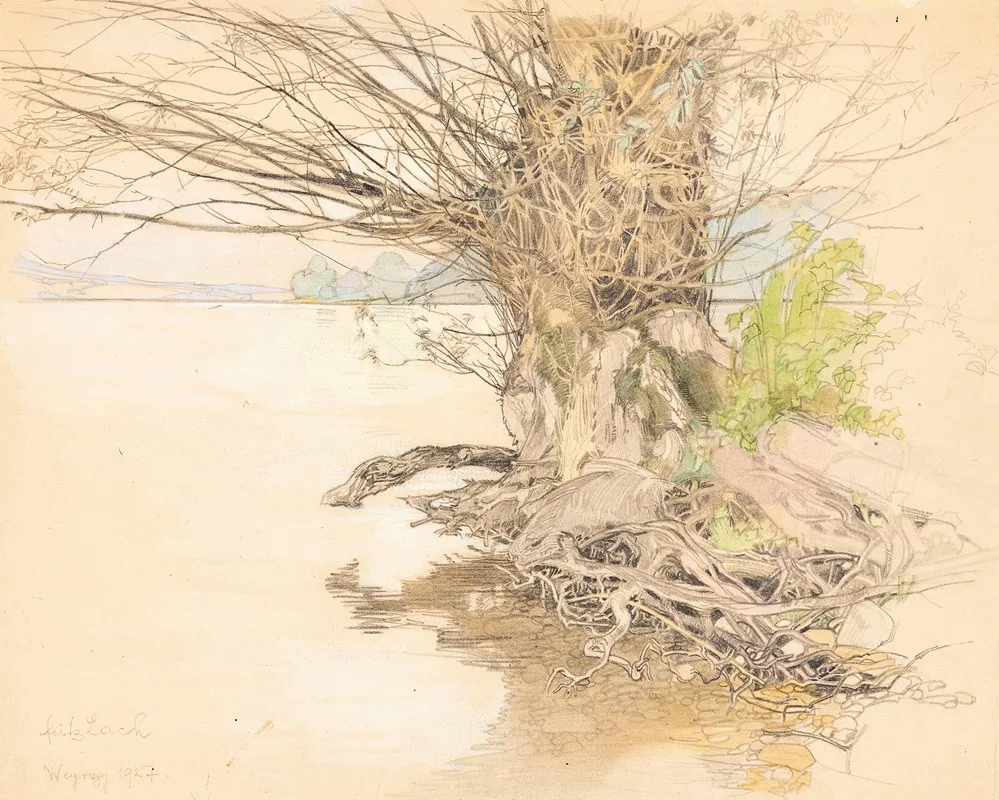 A Willow Tree At The Lake Shore