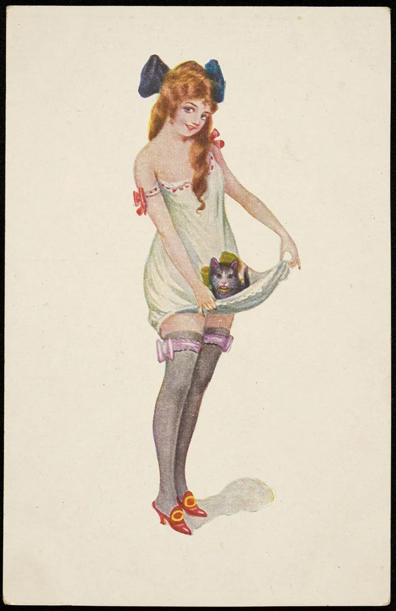 A Woman In A Negligee With A Cat
