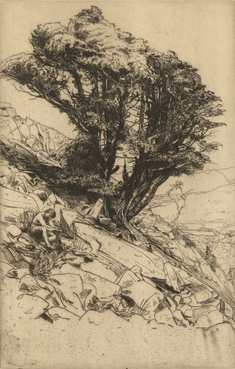 A Yew Tree On Glaramara