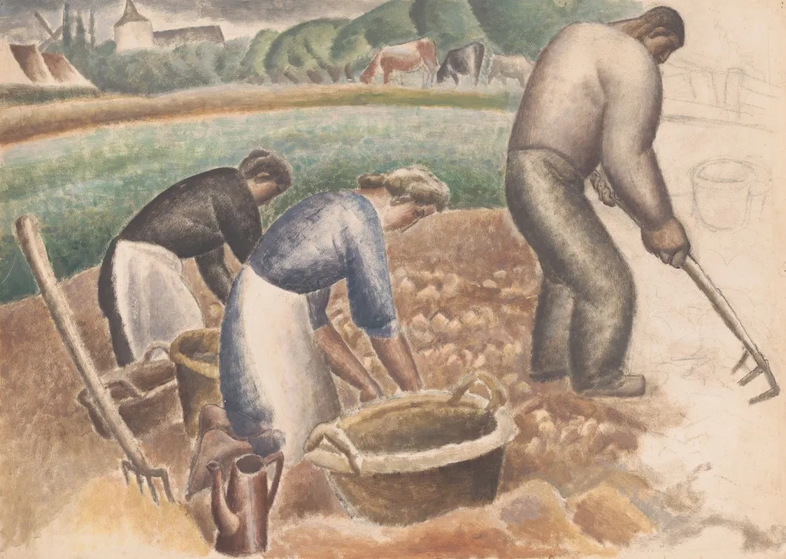 Aardappelrooiers Op Het Land