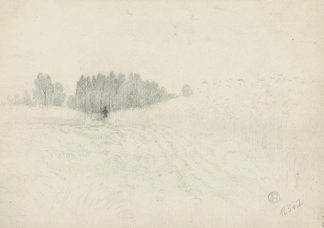 Ackerlandschaft Mit Vogelscheuche