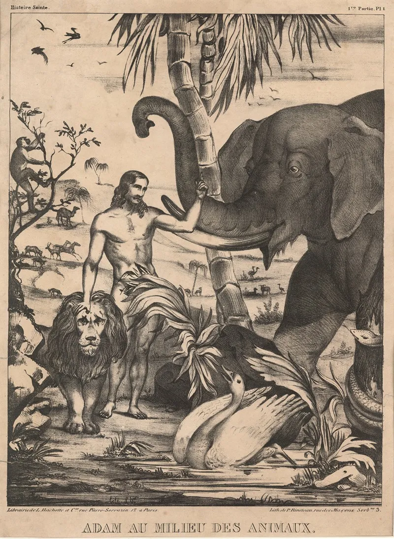 Adam Au Milieu Des Animaux