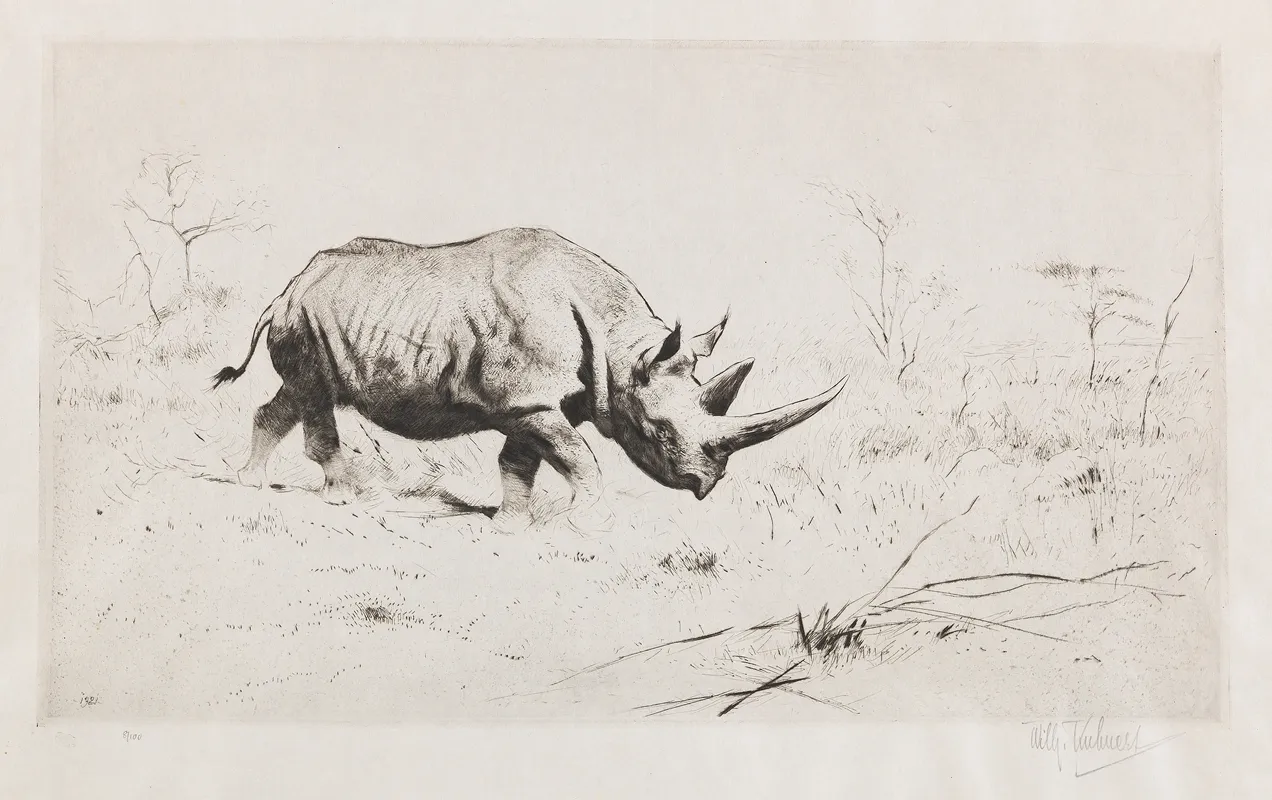 African Rhinoceros