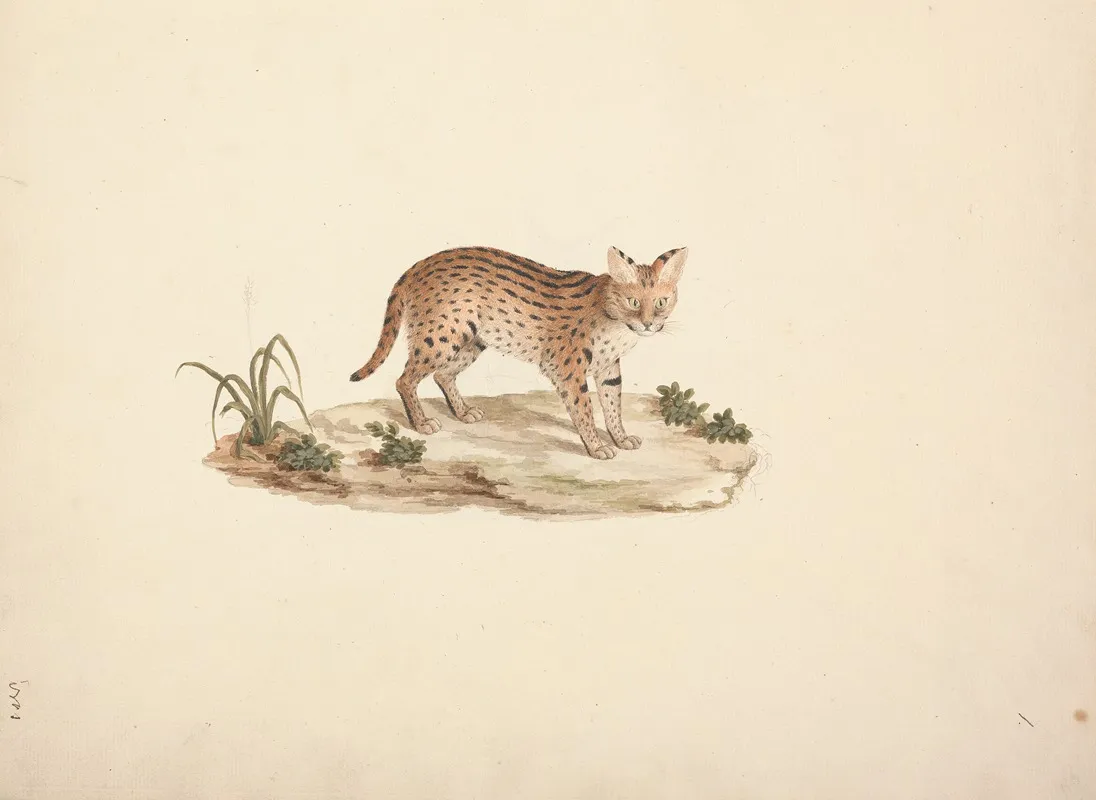 African Wildcat Or Serval