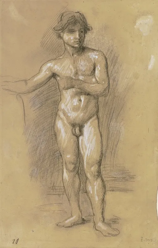 Akt Eines Jungen Stehenden Mannes