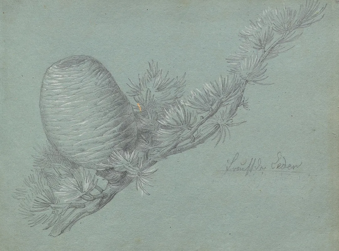 Album With Views Of Rome And Surroundings Landscape Studies Page 49a Study Of A Evergreen Branch With Pinecone by Franz Johann Heinrich Nadorp - Canvas Print