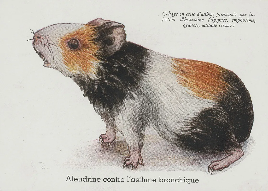 Aleudrine Contre Lasthme Bronchique