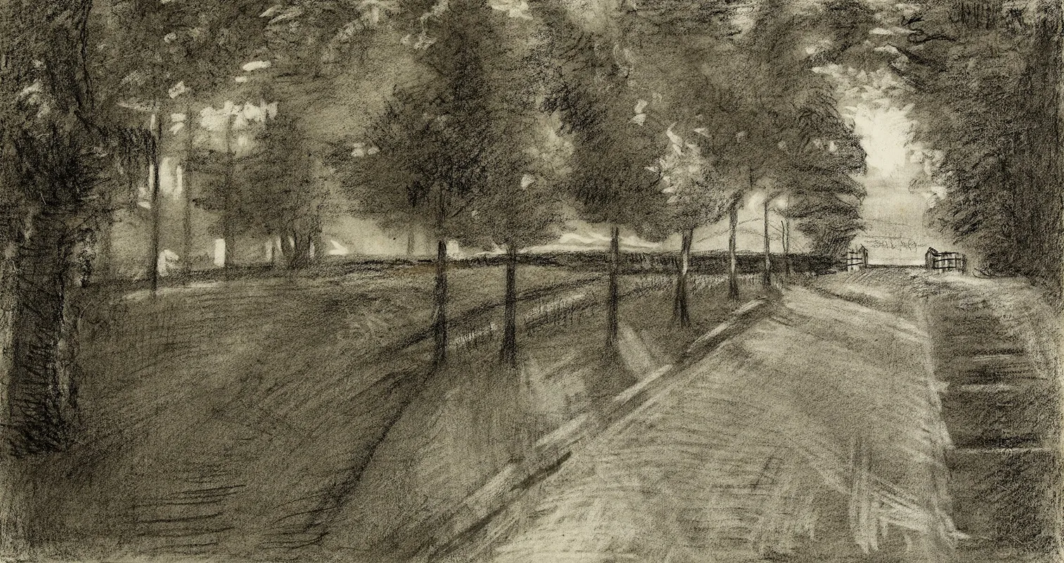 Allee Bordee Darbres Dans Un Parc