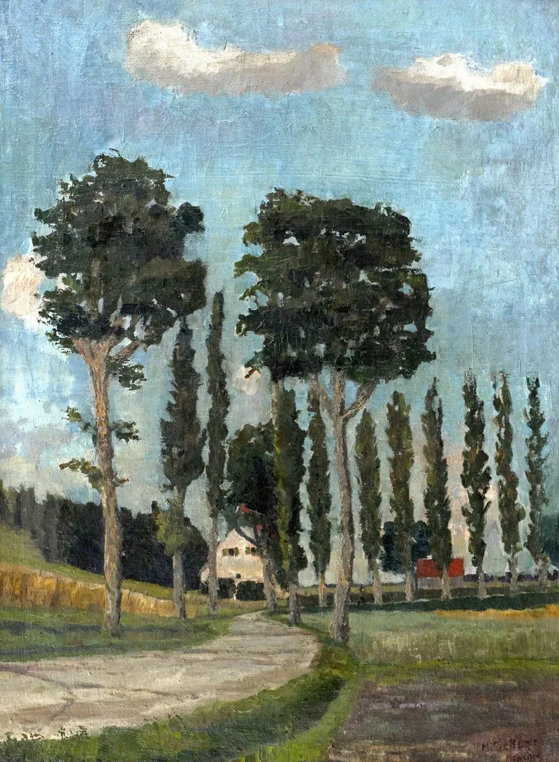 Allee In Der Dachauer Gegend