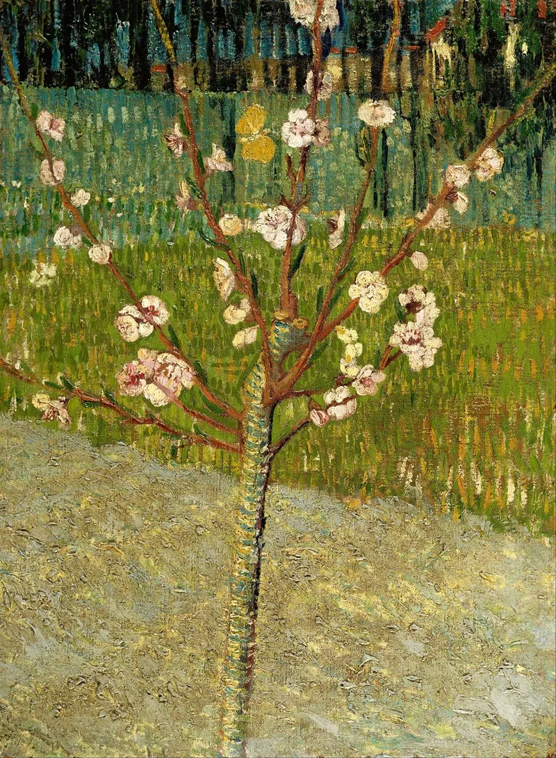 Almond Tree In Blossom by Vincent van Gogh - Canvas Print