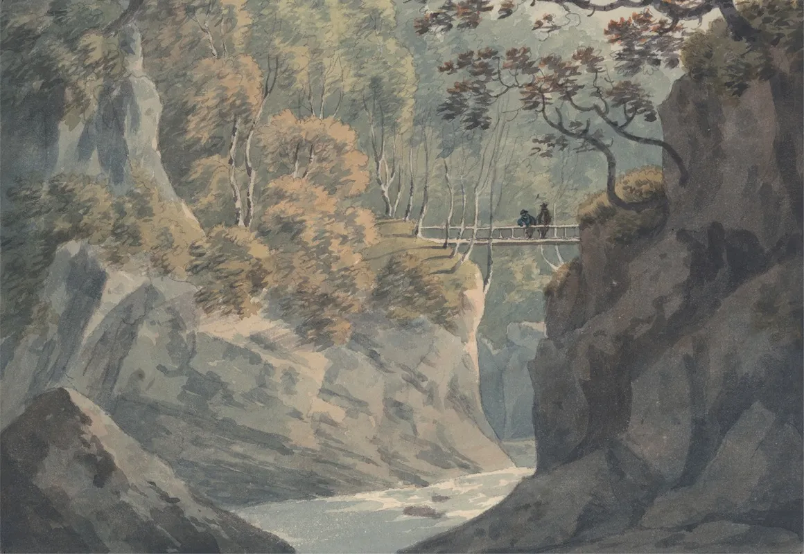 Alpine Bridge And Woodland Scenery Near Pistil Y Maw
