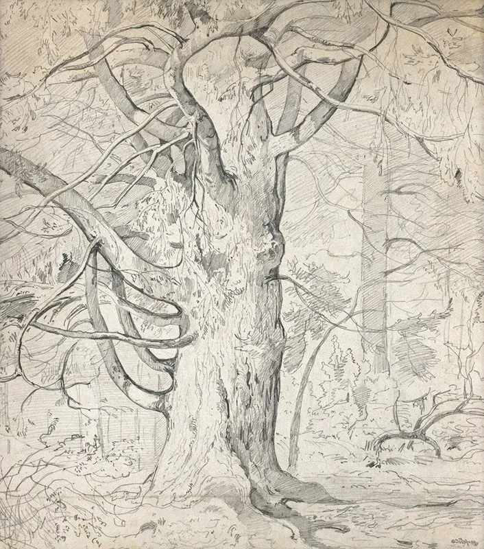 Alte Eiche by Josef Wopfner - Canvas Print