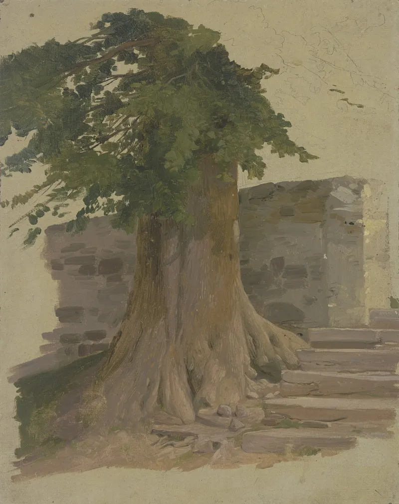 Alter Baum An Einem Mauerstuck 2 by Jakob Becker - Canvas Print