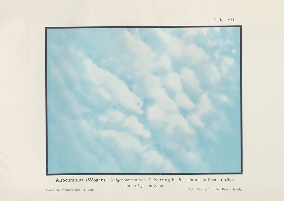 Altocumulus by Richard Börnstein - Canvas Print