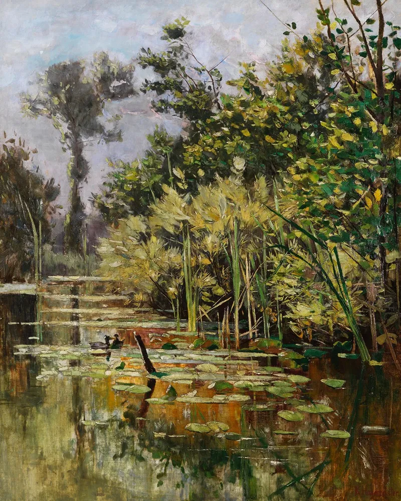 Altwasser Mit Enten Herbst