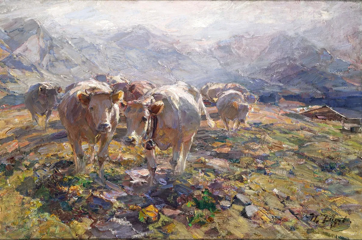 Am Morgen Auf Der Alm Steiermark